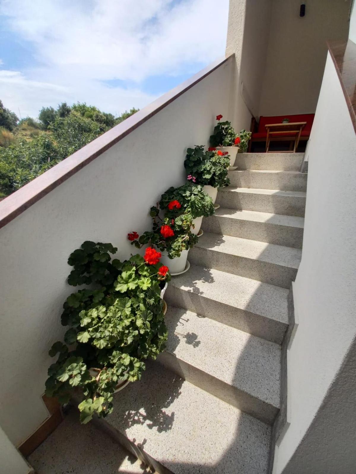 Apartments Vinse Near Rab Center Раб Экстерьер фото